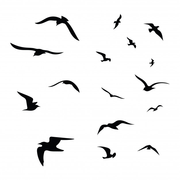Ducks quack,Eagles soar..Which one are you? - identify yourself