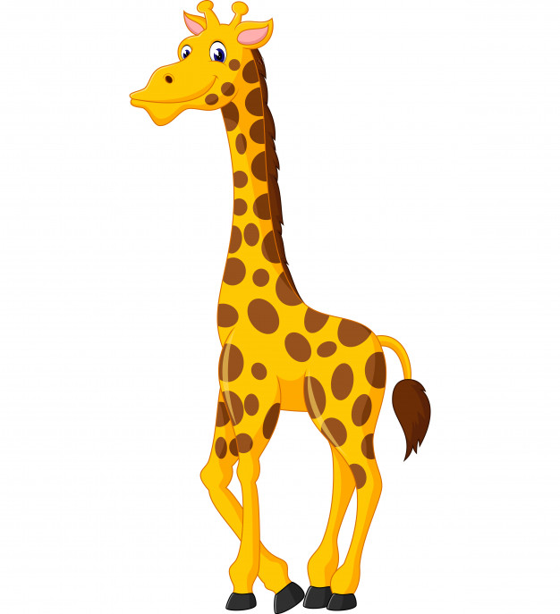 The baby Giraffe